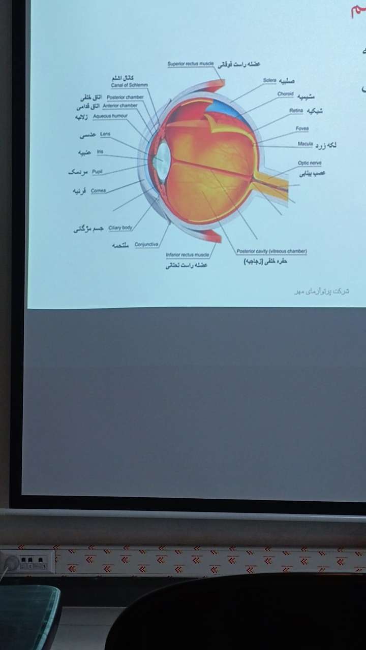 دوره لیزر کالامدیکال 4